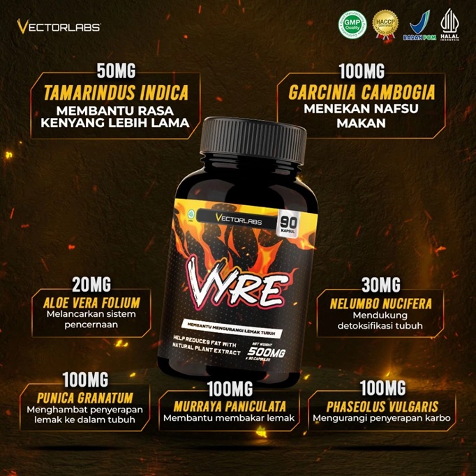 Vector Vyre Fat Burner 90 Caps - Image 2